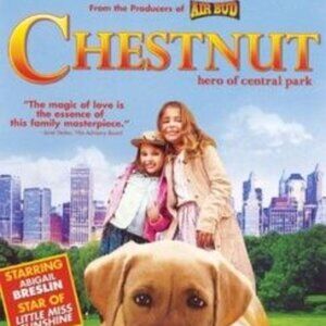 Chestnut: Hero of Central Park DVD Video Miramax Rated G